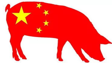 PANDEMIE? Pesta porcină lovește CHINA! Cel mai mare producător al lumii, MĂSURI DRASTICE de limitare a epidemiei