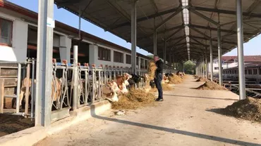 'Nu avem cum să dăm unui tractorist mai mult de 3.000 lei, că nu cultivăm CANNABIS!' Lipsa forţei de muncă distruge economia românească