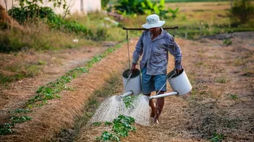 Un nou caz de SCLAVIE asupra unor români în Italia! Ministrul Intotero: Oamenii munceau în agricultură, în zonele Toscana-Veneto