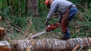 Caz HALUCINANT în Botoșani! A murit în timp ce tăia un copac cu drujba