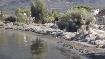 Imagini APOCALIPTICE! Plajă din Grecia, 'ÎNGROPATĂ' în pânză de păianjen! (VIDEO)