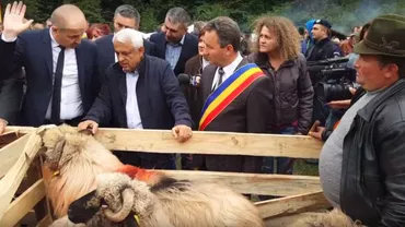 Un deputat liberal l-a făcut 'BERBEC' pe Petre Daea! Cum vrea PSD să se răzbune