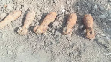 Mai multe bombe au fost găsite de pirotehniştii ISU într-o pădure din Neamț