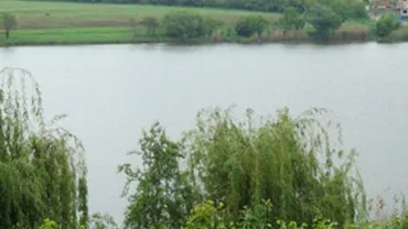 Descoperire şocantă a unui bărbat care a prins un crap gigant. Ce a găsit în burta peştelui depăşeşte orice imaginaţie