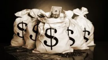 Statul german, FRAUDAT de evazioniști români cu peste 21 de milioane de euro: Peste 50 de persoane duse la audieri