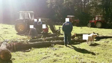 VIRALUL ZILEI! Jandarmii au 'sărbătorit' prinderea unor hoți BLURÂND FAȚA UNUI CÂINE, pentru a nu-i fi afectată imaginea (FOTO)
