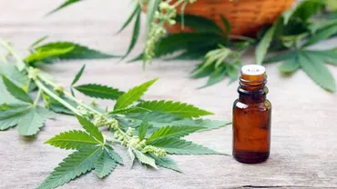 O altă țară din Uniunea Europeană legalizează cannabisul