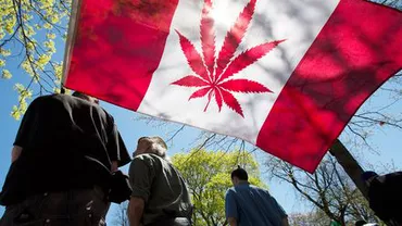Canada rămâne fără MARIJUANA la două zile după legalizarea ei: Am fumat și este bombă!
