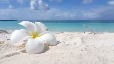 O stațiune cunoscută, MODERIZATĂ pe bani europeni: Când vor demara lucrările