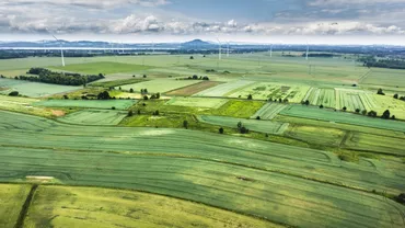 PANICĂ printre agricultori! Decizia este OFICIALĂ: Străinii care deţin terenuri agricole sunt OBLIGAŢI să le vândă! În cât timp trebuie să o facă