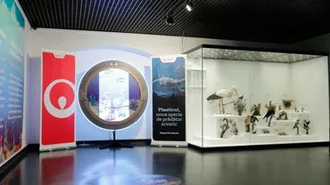 Veolia România susține lupta împotriva plasticului printr-o dioramă multimedia expusă la Muzeul Național de Istorie Naturală ,,Grigore Antipa”