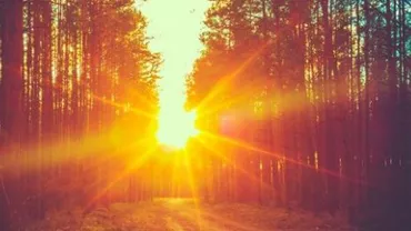 Vremea se schimbă DRAMATIC: Vom avea parte de temperaturi de PRIMĂVARĂ la începutul iernii