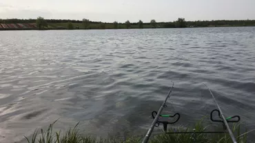 CAPTURĂ RECORD pe lacul Tâncăbești! A prins un pește cât un om