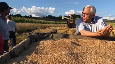 În timp ce pesta porcină face RAVAGII, Petre Daea se laudă cu producţia de cereale: Suntem pe primul loc în UE!