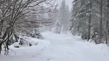 Ce se întâmplă cu vremea în următoarele două săptămâni: Anunț de ultimă oră al meteorologilor 