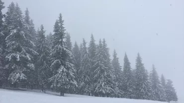 ALERTĂ METEO: Veşti TERIBILE pentru Crăciun şi Revelion! Vremea va fi CUMPLITĂ... Anunţul de ultimă oră al meteorologilor