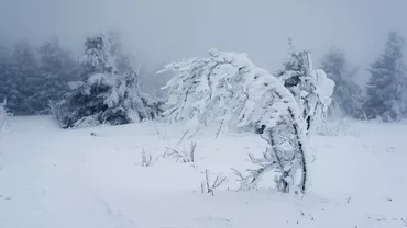 ALERTĂ METEO! Revin NINSORILE și GERUL PUTERNIC! Iată județele cele mai AFECTATE!