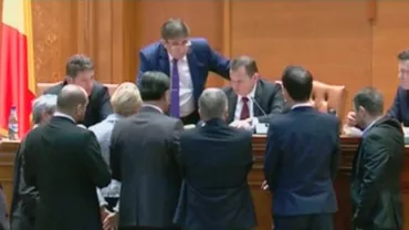Circ în Parlament: Liberalii cer revocarea lui Dragnea de la conducerea Camerei Deputaților. Iordache refuză să supună votului propunerea (VIDEO)