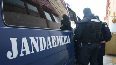Jandarmii, mobilizați împotriva unei... pisici agresive (VIDEO)