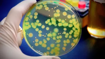 ALERTĂ MEDICALĂ! O nouă BACTERIE extrem de periculoasă, confirmată în spitalele din România. Reacția ministrului Sănătății (VIDEO)