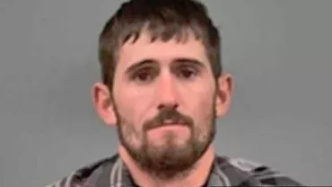 Justiţia CANDIDĂ: Un braconier a fost condamnat să se uite la ''BAMBI'' de cel puțin 12 ori