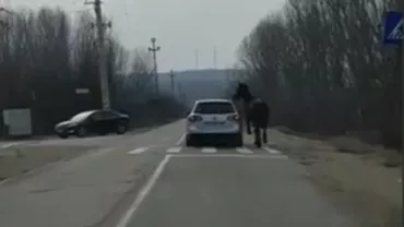Un bărbat a ÎNTRECUT orice limită şi şi-a CHINUIT calul în văzul tuturor (VIDEO)