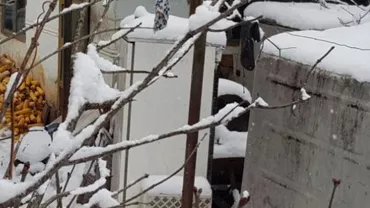 Caz șocant în Alba: Cadavrul unui bătrân, pus în congelator de către fiul acestuia