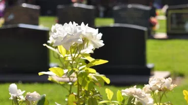 (P) Servicii de transport funerar și repatriere decedați