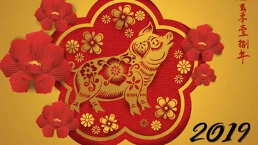 Întrăm în semnul Porcului de pământ: Cine va avea GHINION TOT ANUL, potrivit zodiacului chinezesc