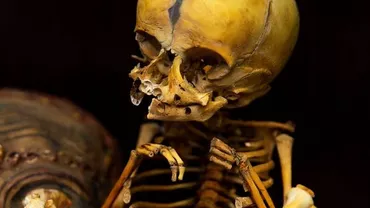 MACABRU! Magazinul din Anglia care vinde fetuşi umani şi părţi ale corpului omenesc (FOTO)