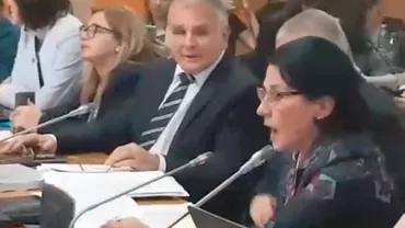 Scandal cu urlete la dezbaterea bugetului. Ecaterina Andronescu zbierând: ''Nu ne mai faceţi hoţi, că nu suntem!'' (VIDEO)