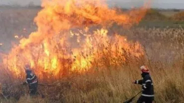 Prăpăd în Prahova. 9 incendii de vegetaţie uscată la această oră