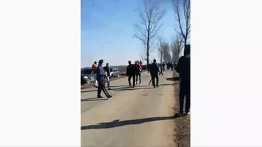 În Dolj, ca în Vestul Sălbatic: Curse de cai ilegale, organizate pe drumurile publice (VIDEO)