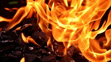 ALERTĂ în Cluj! Incendiu la Muzeul Satului. Acoperișul unei clădiri a ars...