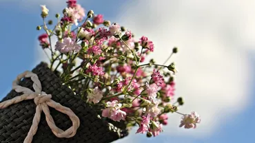 De 1 martie, acest bătrân din Iași a mers și a cumpărat un buchet de flori. Pe drum, a fost întrebat de către un trecător pentru cine sunt florile. Continuarea te va face să izbucnești în lacrimi. Așa ceva, mai rar... (FOTO)