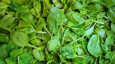 Primăvara în farfurie, GAURĂ ÎN BUZUNAR: Spanac, salată și ceapă verde la prețuri de lux (VIDEO)