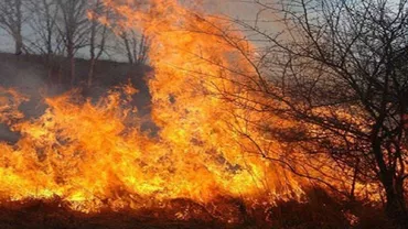 A luat foc pădurea! ISU a declarat ALERTĂ PORTOCALIE