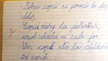 Decizie în cazul ''învăţătorului patinuar''. Ce sancţiune a primit
