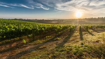 ÎN SFÂRŞIT: România alocă sume ENORME pentru sistemul de irigații