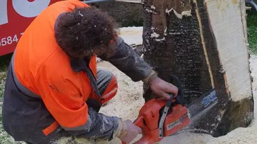Un cunoscut sculptor român lucrează în Thailanda la statuia bunicii regelui (FOTO)