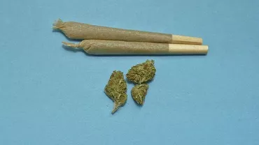 HALUCINANT! Doi italieni au vrut să cumpere tăcerea unui român cu marijuana. Ce s-a întâmplat...