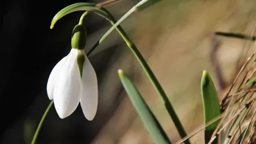 ALERTĂ METEO: Veşti îngrijorătoare despre vremea din România! Care sunt judeţele vizate...