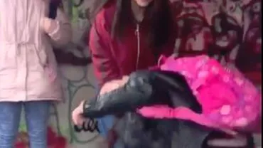 Un nou caz de bullying la Brașov - O elevă a fost AGRESATĂ în plină zi (VIDEO)