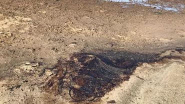 Plaja din Vadu, POLUATĂ cu PETROL: Oamenii vin cu recipiente să ia combustibil. Situația este EXTREM DE GRAVĂ și ar putea duce la un DEZASTRU similar cu cel din Mexic (FOTO, VIDEO)