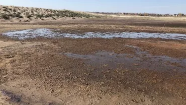 EXCLUSIV. Prima reacție a Ministerului Mediului în cazul POLUĂRII de pe plaja Vadu: Exista o cantitate de pământ și nisip contaminate cu reziduuri de hidrocarburi (FOTO, VIDEO)