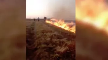 Vaslui: Un localnic a dat foc la o pădure din greșeală