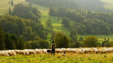 Ministerul Agriculturii: Peste 1 miliard lei fonduri nerambursabile, alocate investițiilor în zona montană
