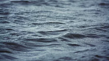 Descoperire MACABRĂ! Un cadavru a fost zărit PLUTIND în apele Siretului