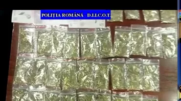 Ploieşti: Doi brăileni, prinşi în flagrant în timp ce vindeau etnobotanice