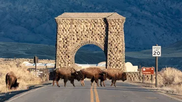 Cum se văd mai multe parcuri naturale de la o altitudine de câteva sute de kilometri (FOTO)